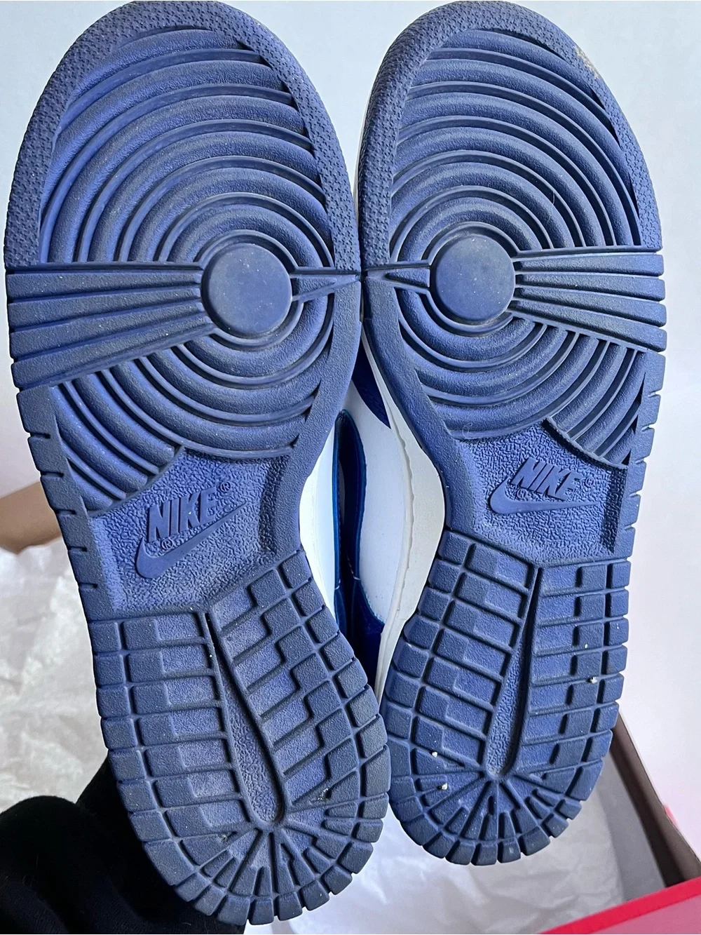 Royal Blue Nike Dunks Sneakers 6y